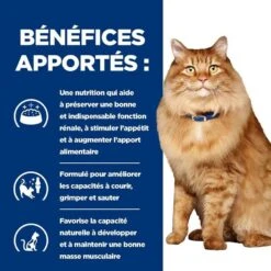 Hill's Prescription Diet Feline K/D + Mobility 3 Kg -Trixie || BEAPHAR || Zolux Soldes Boutique 52742044767 4 prescription diet chat k d mobility croquettes poulet 1 1
