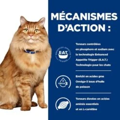 Hill's Prescription Diet Feline K/D + Mobility 3 Kg -Trixie || BEAPHAR || Zolux Soldes Boutique 52742044767 5 prescription diet chat k d mobility croquettes poulet 1 1
