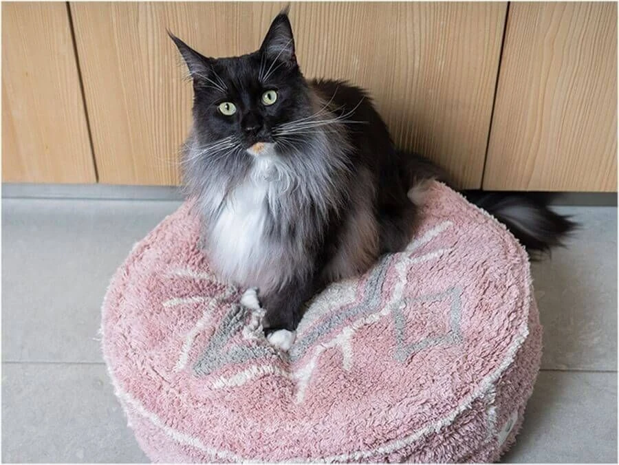 Fantail Pouf Bobo Rose 50 Cm 4 Fantail Pouf Bobo Rose 50 Cm – Image 2