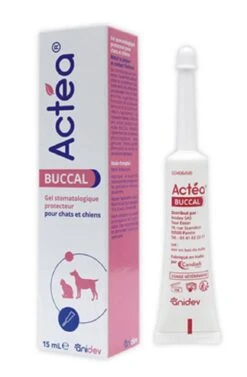 Actéa Buccal 15 Ml