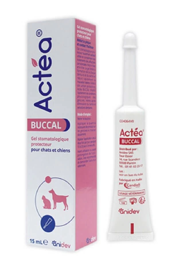 Actéa Buccal 15 Ml 3 Actéa Buccal 15 Ml