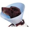 Buster Carcan Classique Pour Chiens Et Chats - 10 Cm -Trixie || BEAPHAR || Zolux Soldes Boutique carcan classique 1