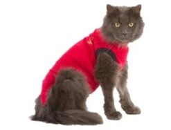 Medical Pet Shirt Chat XXS -Trixie || BEAPHAR || Zolux Soldes Boutique chat 3 1 1