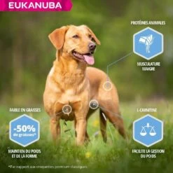 Eukanuba Daily Care Adult Overweight Petite Et Moyenne Race Poulet 2.3 Kg -Trixie || BEAPHAR || Zolux Soldes Boutique eukanuba daily care weight control small medium breed 1