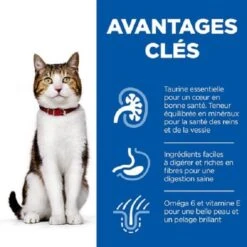 Hill's Science Plan Hill's Science Plan Feline Mature Poulet 10 Kg 7 Hill's Science Plan Hill's Science Plan Feline Mature Poulet 10 Kg -Trixie || BEAPHAR || Zolux Soldes Boutique hill s science plan feline mature poulet 10 kg 3