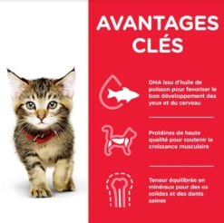 Hill's Science Plan Hill's Science Plan Feline Kitten Healthy Development Pack Mixte Sachets 12 X 85 Grs -Trixie || BEAPHAR || Zolux Soldes Boutique hill s science plan kitten healthy development pack mixte sachets 12 x 85 grs4