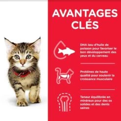 Hill's Science Plan Hill's Science Plan Feline Kitten Thon 1,5 Kg -Trixie || BEAPHAR || Zolux Soldes Boutique hill s science plan kitten thon 1 5 kg3