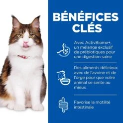 Hill's Science Plan Hill's Science Plan Feline Adult Perfect Digestion 7 Kg -Trixie || BEAPHAR || Zolux Soldes Boutique hill s science plan feline adult perfect digestion 7 kg3