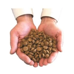 Felichef Croquettes BIO Chat Adulte Volaille 800 G 8 Felichef Croquettes BIO Chat Adulte Volaille 800 G -Trixie || BEAPHAR || Zolux Soldes Boutique main avec croquettes 1 3