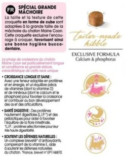 Royal Canin Maine Coon Kitten 4 Kg 12 Royal Canin Maine Coon Kitten 4 Kg -Trixie || BEAPHAR || Zolux Soldes Boutique mc kit information 1