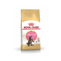 Royal Canin Maine Coon Kitten 10 Kg