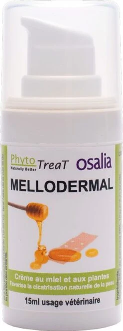 Mellodermal Crème Au Miel De Sarrasin 15 Ml