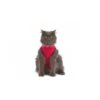 Medical Pet Shirt Chat XXS 1 Medical Pet Shirt Chat XXS -Trixie || BEAPHAR || Zolux Soldes Boutique mps cat1 4