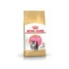Royal Canin Persian Kitten 2 Kg -Trixie || BEAPHAR || Zolux Soldes Boutique pers kit pack