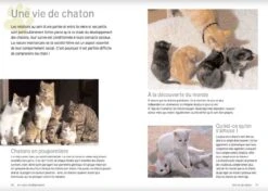 Livre - Pourquoi Mon Chat Fait-il ça ? 6 Livre - Pourquoi Mon Chat Fait-il ça ? -Trixie || BEAPHAR || Zolux Soldes Boutique pourquoi mon chat fait il c a 2