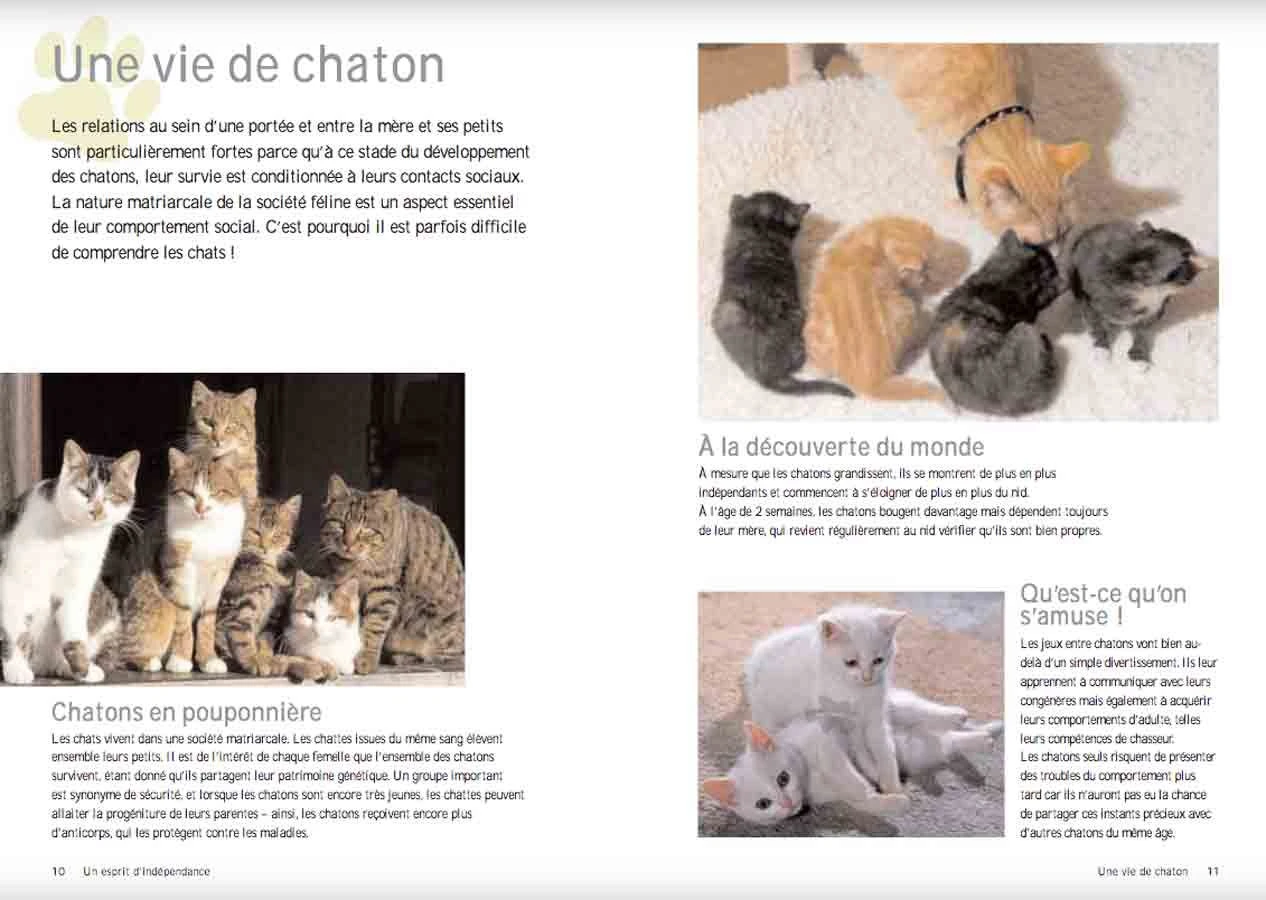 Livre - Pourquoi Mon Chat Fait-il ça ? 4 Livre - Pourquoi Mon Chat Fait-il ça ? – Image 2