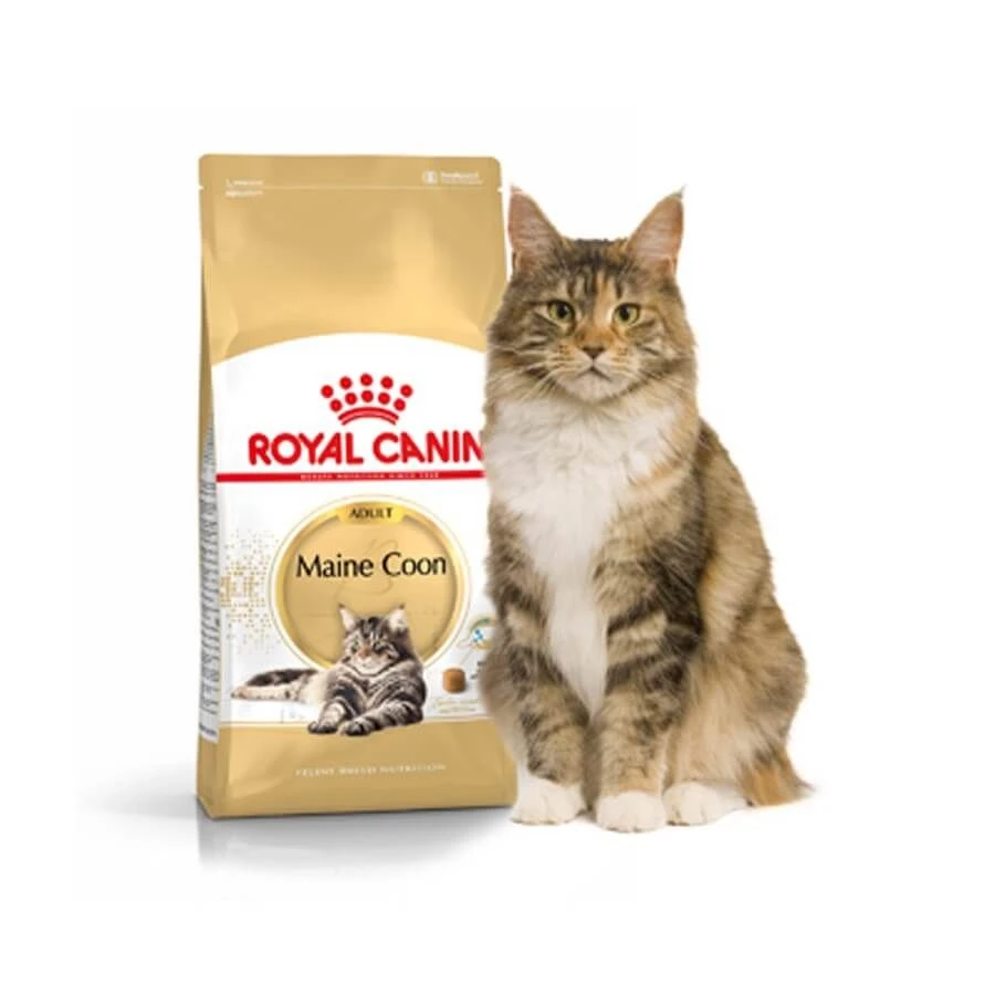 Royal Canin Maine Coon Adult 4 Kg 4 Royal Canin Maine Coon Adult 4 Kg – Image 2