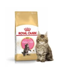 Royal Canin Maine Coon Kitten 4 Kg 9 Royal Canin Maine Coon Kitten 4 Kg -Trixie || BEAPHAR || Zolux Soldes Boutique royal canin mc kit 1
