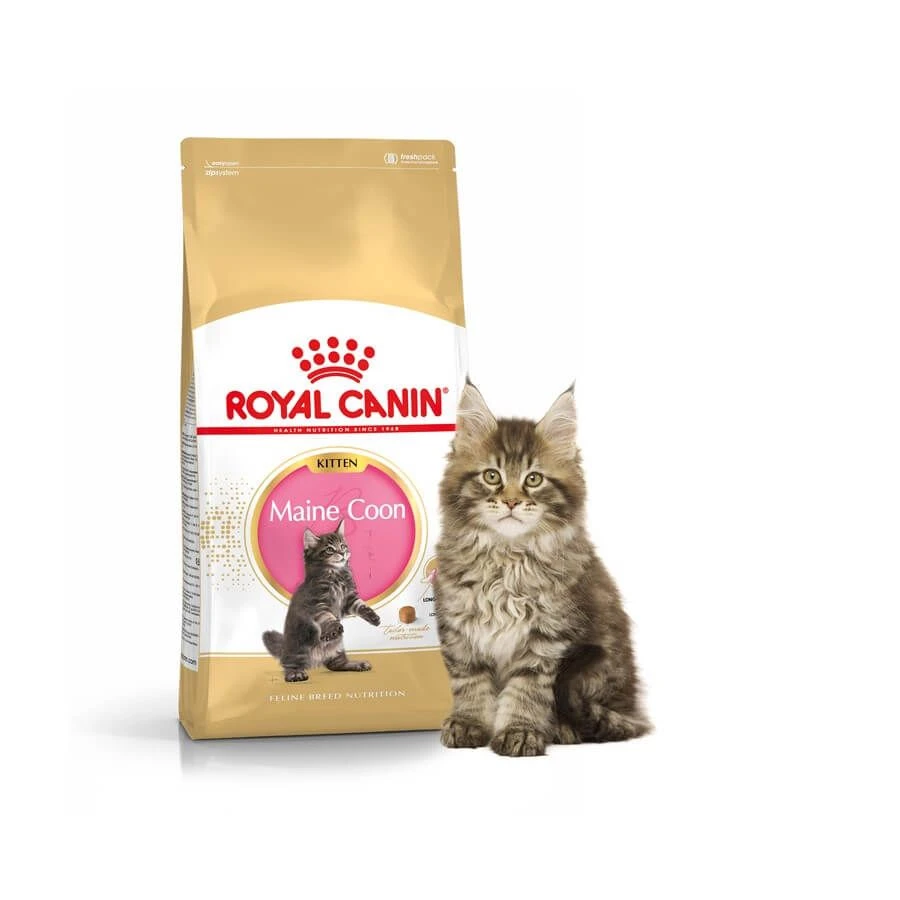 Royal Canin Maine Coon Kitten 4 Kg 4 Royal Canin Maine Coon Kitten 4 Kg – Image 2
