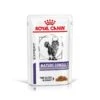 Royal Canin Vet Chat Mature Consult 12 X 85 G 1 Royal Canin Vet Chat Mature Consult 12 X 85 G -Trixie || BEAPHAR || Zolux Soldes Boutique royal canin vet chat mature consult 12 x 85 g