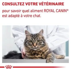 Royal Canin Vet Chat Mature Consult Balance 10 Kg -Trixie || BEAPHAR || Zolux Soldes Boutique royal canin vet chat mature consult balance 10 kg 9