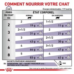 Royal Canin Vet Chat Neutered Balance 12 X 85 G -Trixie || BEAPHAR || Zolux Soldes Boutique royal canin vet chat neutered balance 12 x 85 g 5