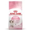 Royal Canin Féline Health Nutrition Kitten Second Age 2 Kg