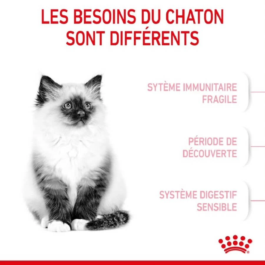 Royal Canin Féline Health Nutrition Kitten Second Age 2 Kg 5 Royal Canin Féline Health Nutrition Kitten Second Age 2 Kg – Image 3