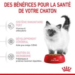Royal Canin Féline Health Nutrition Kitten Second Age 2 Kg 14 Royal Canin Féline Health Nutrition Kitten Second Age 2 Kg -Trixie || BEAPHAR || Zolux Soldes Boutique royal canin f line health nutrition kitten second age 3 1