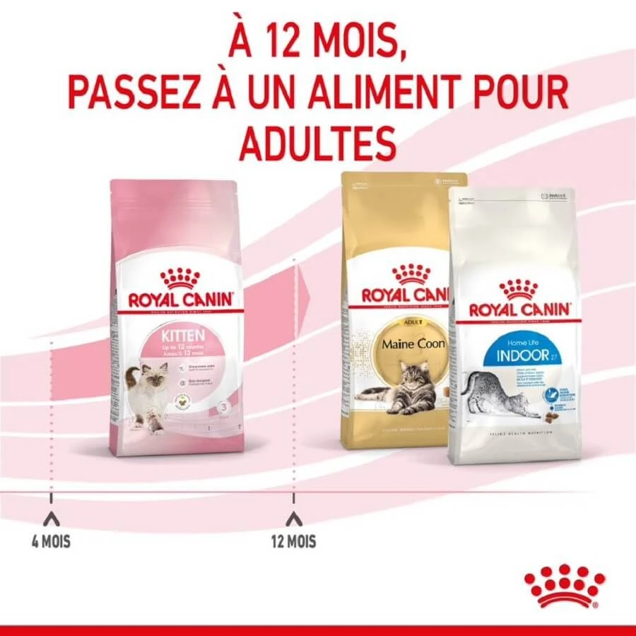 Royal Canin Féline Health Nutrition Kitten Second Age 2 Kg 8 Royal Canin Féline Health Nutrition Kitten Second Age 2 Kg – Image 6