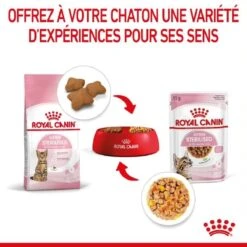 Royal Canin Kitten Sterilised Sachet En Gelée 12 X 85 G -Trixie || BEAPHAR || Zolux Soldes Boutique royal canin kitten sterilised sachet en gel e 2