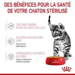 Royal Canin Kitten Sterilised Sachet En Gelée 12 X 85 G -Trixie || BEAPHAR || Zolux Soldes Boutique royal canin kitten sterilised sachet en gel e 4