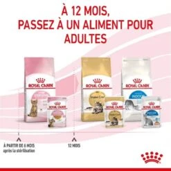 Royal Canin Kitten Sterilised Sachet En Gelée 12 X 85 G -Trixie || BEAPHAR || Zolux Soldes Boutique royal canin kitten sterilised sachet en gel e 5