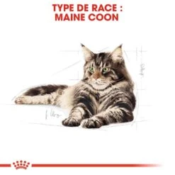 Royal Canin Maine Coon Adult 4 Kg 13 Royal Canin Maine Coon Adult 4 Kg -Trixie || BEAPHAR || Zolux Soldes Boutique royal canin maine coon adult 2 1