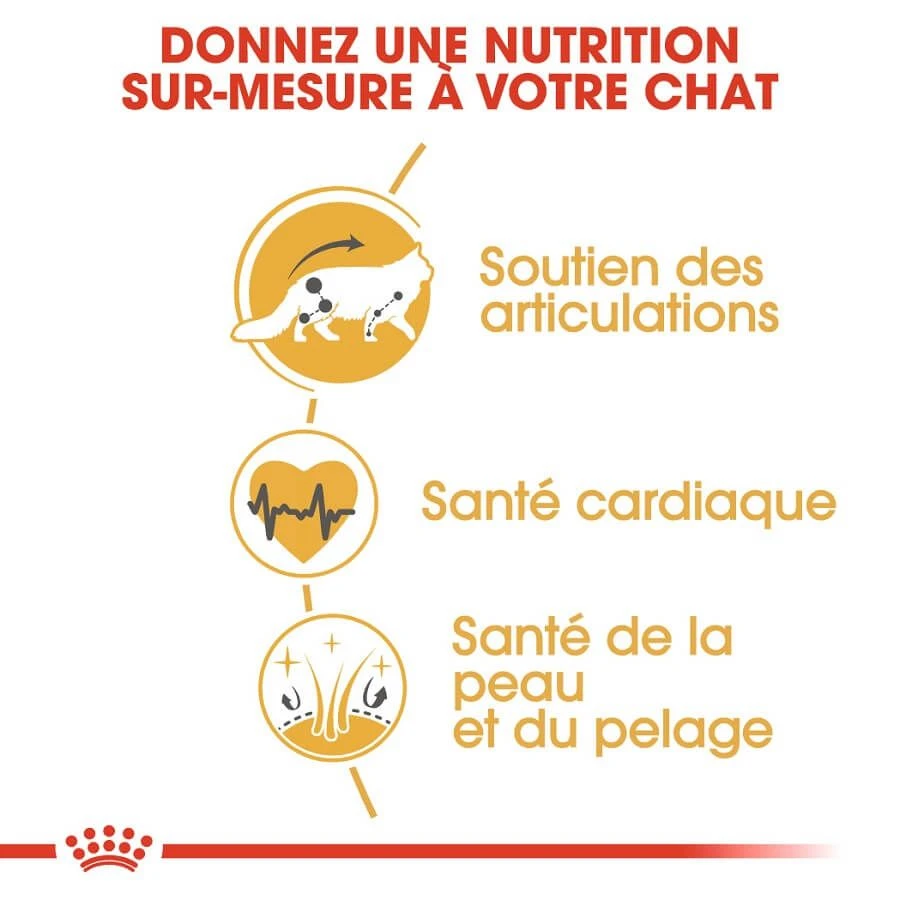 Royal Canin Maine Coon Adult 4 Kg 8 Royal Canin Maine Coon Adult 4 Kg – Image 6