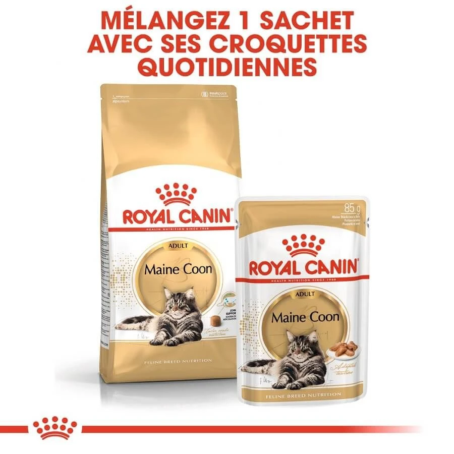 Royal Canin Maine Coon Adult 4 Kg 9 Royal Canin Maine Coon Adult 4 Kg – Image 7
