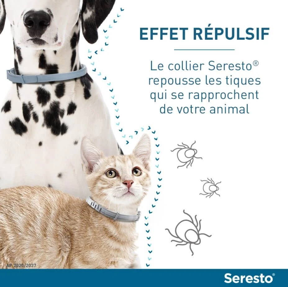 Seresto Collier Antiparasitaire Chat X2 5 Seresto Collier Antiparasitaire Chat X2 – Image 3