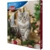 Trixie Calendrier De L'Avent Pour Chat 2022 -Trixie || BEAPHAR || Zolux Soldes Boutique trixie calendrier de l avent pour chat 2022