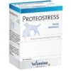 Wamine Proteostress 36 Cps