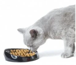 Gamelle Whisker Spéciale Museau Plat